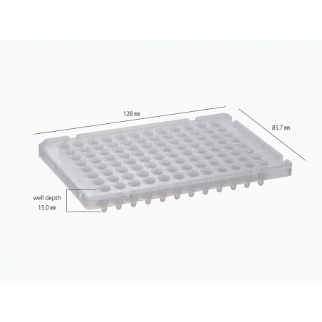 96-well PCR Platten